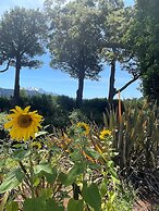 Two Rivers Boutique Lodge Ohakune