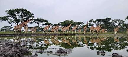 Nyanja View Resort