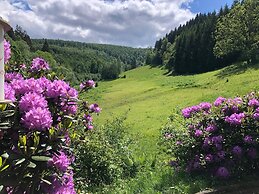 Exclusive Group House in Winterberg in the Forest