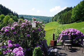 Exclusive Group House in Winterberg in the Forest