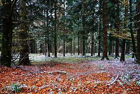 Exclusive Group House in Winterberg in the Forest