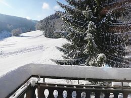 Exclusive Group House in Winterberg in the Forest
