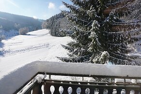 Exclusive Group House in Winterberg in the Forest
