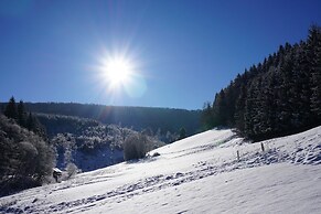 Exclusive Group House in Winterberg in the Forest