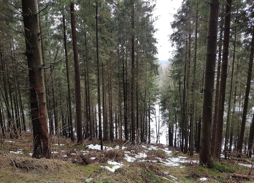 Welcoming Apartment in Winterberg With Balcony