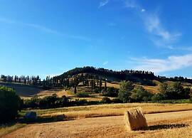 Beautiful Villa in Peccioli With Private Swimming Pool
