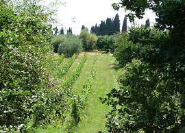 Beautiful Villa in Peccioli With Private Swimming Pool