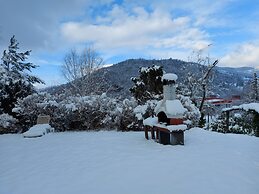 Nice Chalet With Sauna in Vosges