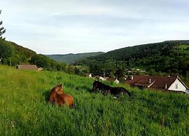 Nice Chalet With Sauna in Vosges