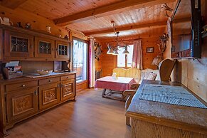 Apartment in Hochfugen With a Terrace
