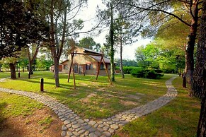 Comfortable Cottages in Loro Ciuffenna