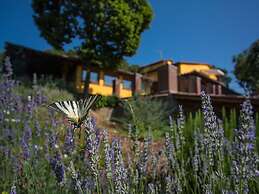 Comfortable Cottages in Loro Ciuffenna