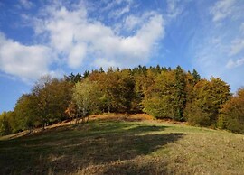 Comely Holiday Home in Guntersberge Near Forest