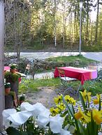 Alluring Apartment in Schonsee in the Forest