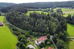 Alluring Apartment in Schonsee in the Forest