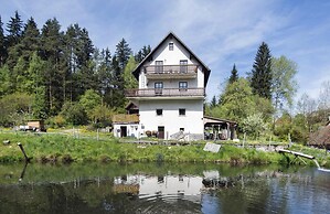 Alluring Apartment in Schonsee in the Forest