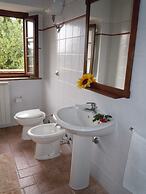 Lavish Holiday Home in Volterra With Pool