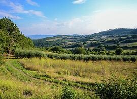 Rustic Holiday Home in Citta di Castello With Swimming Pool