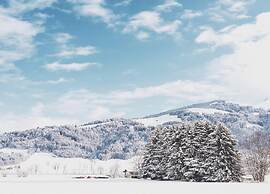 Spacious Apartment in Uderns Near Ski Area