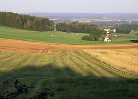 Spacious Apartment Near Forest in Bad Durrheim