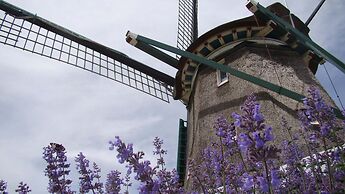 Spacious Holiday Home in the Beemster Near a Windmill