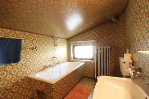 Spacious Apartment Near Ski Area in Mittersill