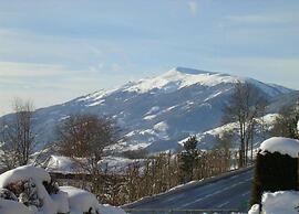 Spacious Apartment Near Ski Area in Mittersill