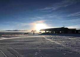 Spacious Apartment Near Ski Area in Mittersill