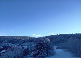 Luxurious Apartment in Heubach Germany in the Forest