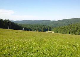Luxurious Apartment in Heubach Germany in the Forest
