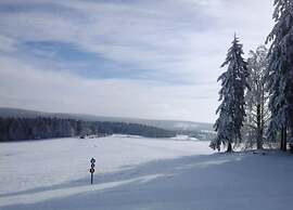 Luxurious Apartment in Heubach Germany in the Forest