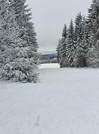 Luxurious Apartment in Heubach Germany in the Forest