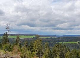 Luxurious Apartment in Heubach Germany in the Forest