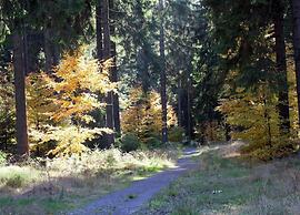 Luxurious Apartment in Heubach Germany in the Forest