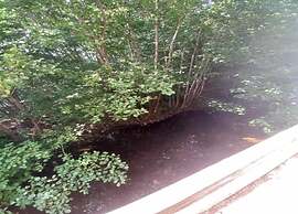 Chalet in Lovely, Rich Forest Setting With a Beautiful View