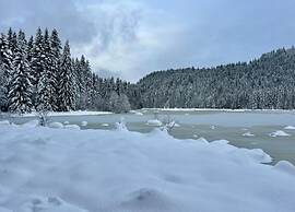 Chalet in Lovely, Rich Forest Setting With a Beautiful View