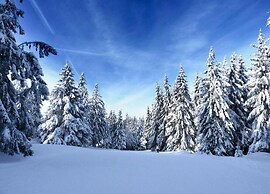 Chalet in Lovely, Rich Forest Setting With a Beautiful View