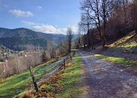 Chalet in Lovely, Rich Forest Setting With a Beautiful View