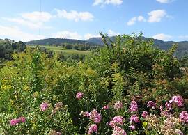 Chalet in Lovely, Rich Forest Setting With a Beautiful View