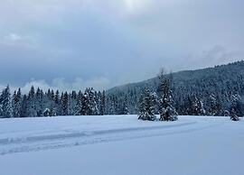 Chalet in Lovely, Rich Forest Setting With a Beautiful View