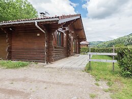 Chalet in Lovely, Rich Forest Setting With a Beautiful View