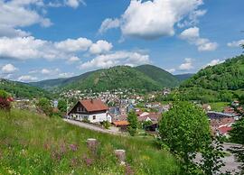Chalet in Lovely, Rich Forest Setting With a Beautiful View