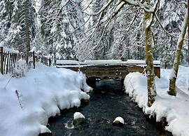 Chalet in Lovely, Rich Forest Setting With a Beautiful View