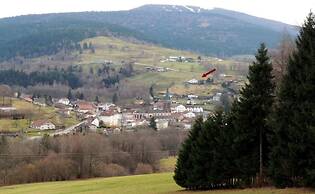 Chalet in Lovely, Rich Forest Setting With a Beautiful View
