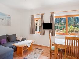 Comfortable Apartment in Mayrhofen With Garden