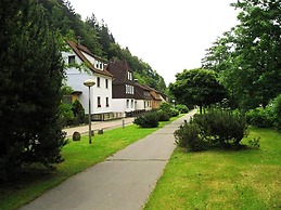 Spacious Group House in the Harz Region