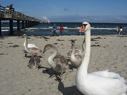 Ferienhaus in der Naehe der Ostsee