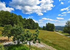 Comfortable Apartment in Zenting in Lower Bavaria