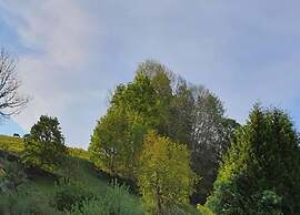 Alluring Villa in Grunhainichen-borstendorf With Garden