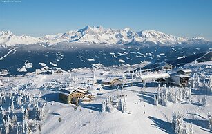 Appealing Apartment in Kleinarl With Ski-storage